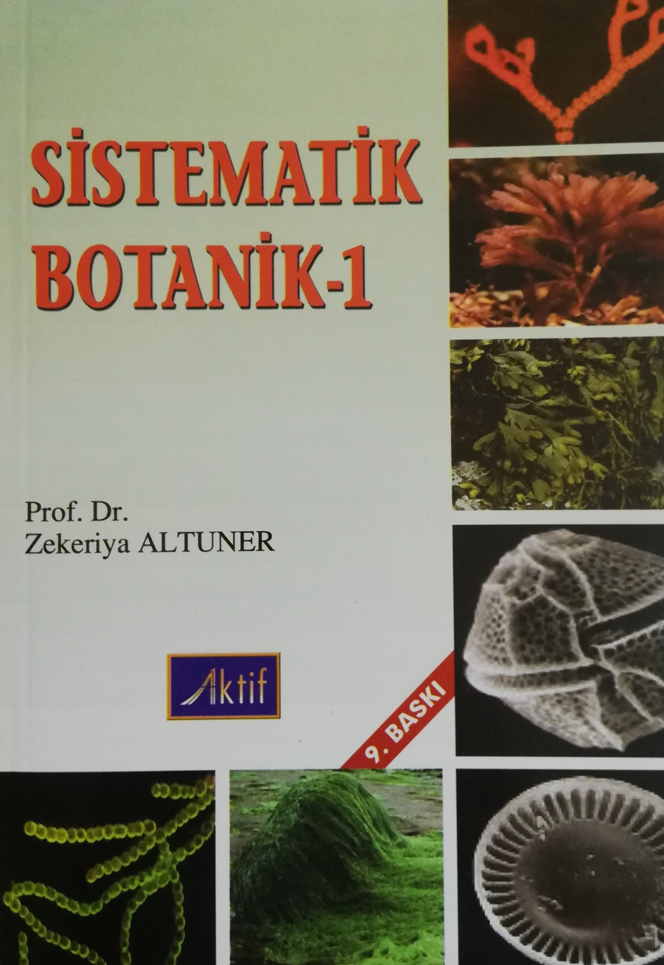 Sistematik Botanik-1 Sistematik Botanik-1